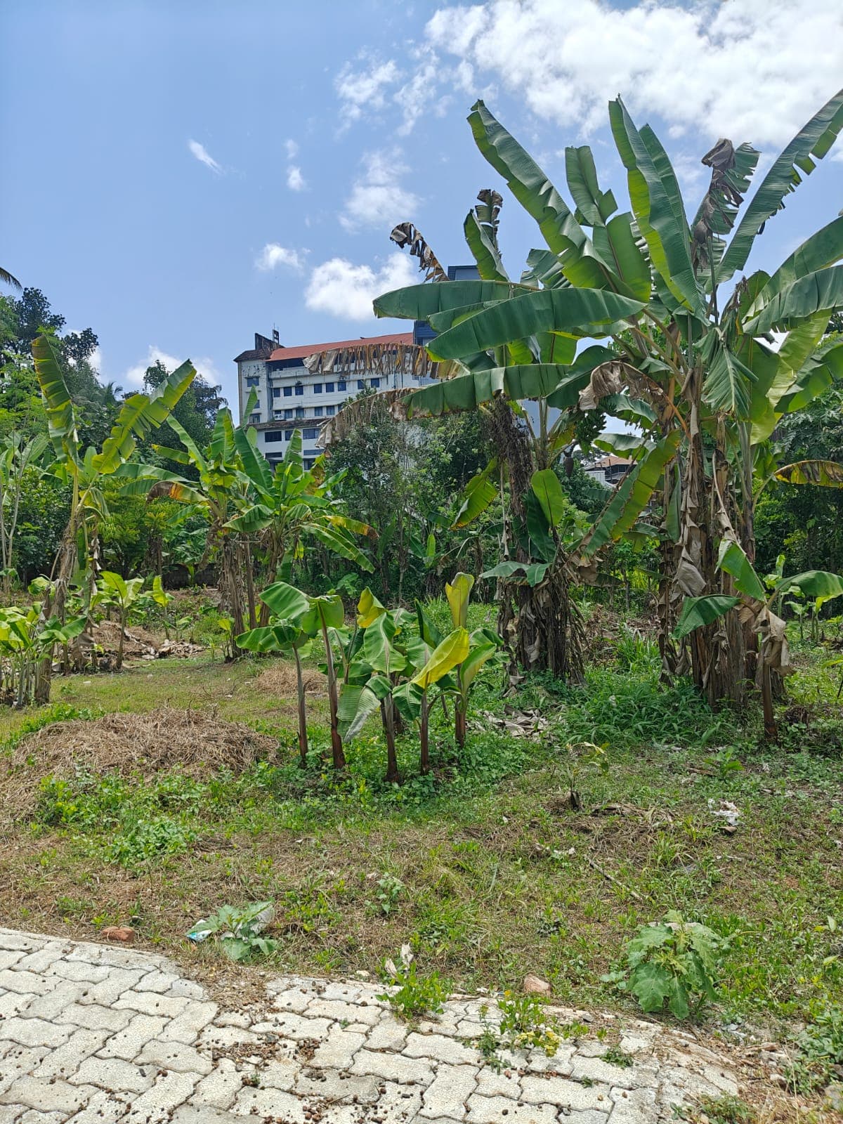 Kakkanad Jino Bar Land Parcels — view 4