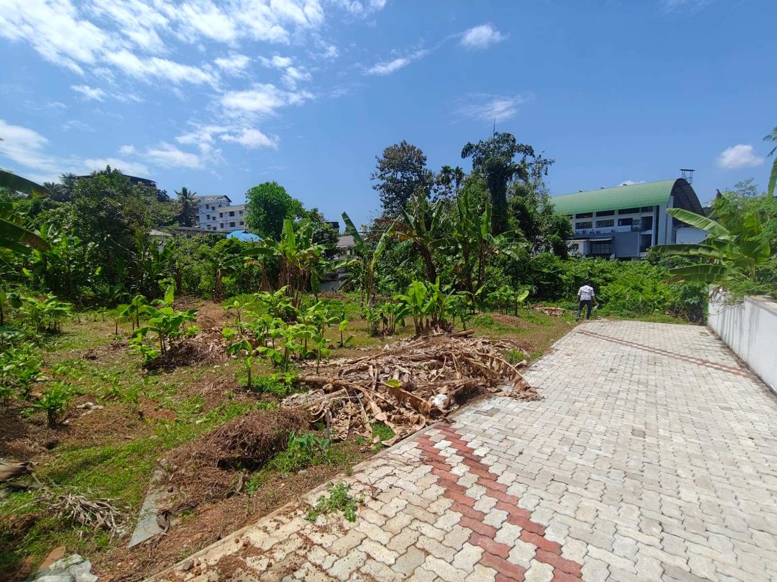 Kakkanad Jino Bar Land Parcels — view 5