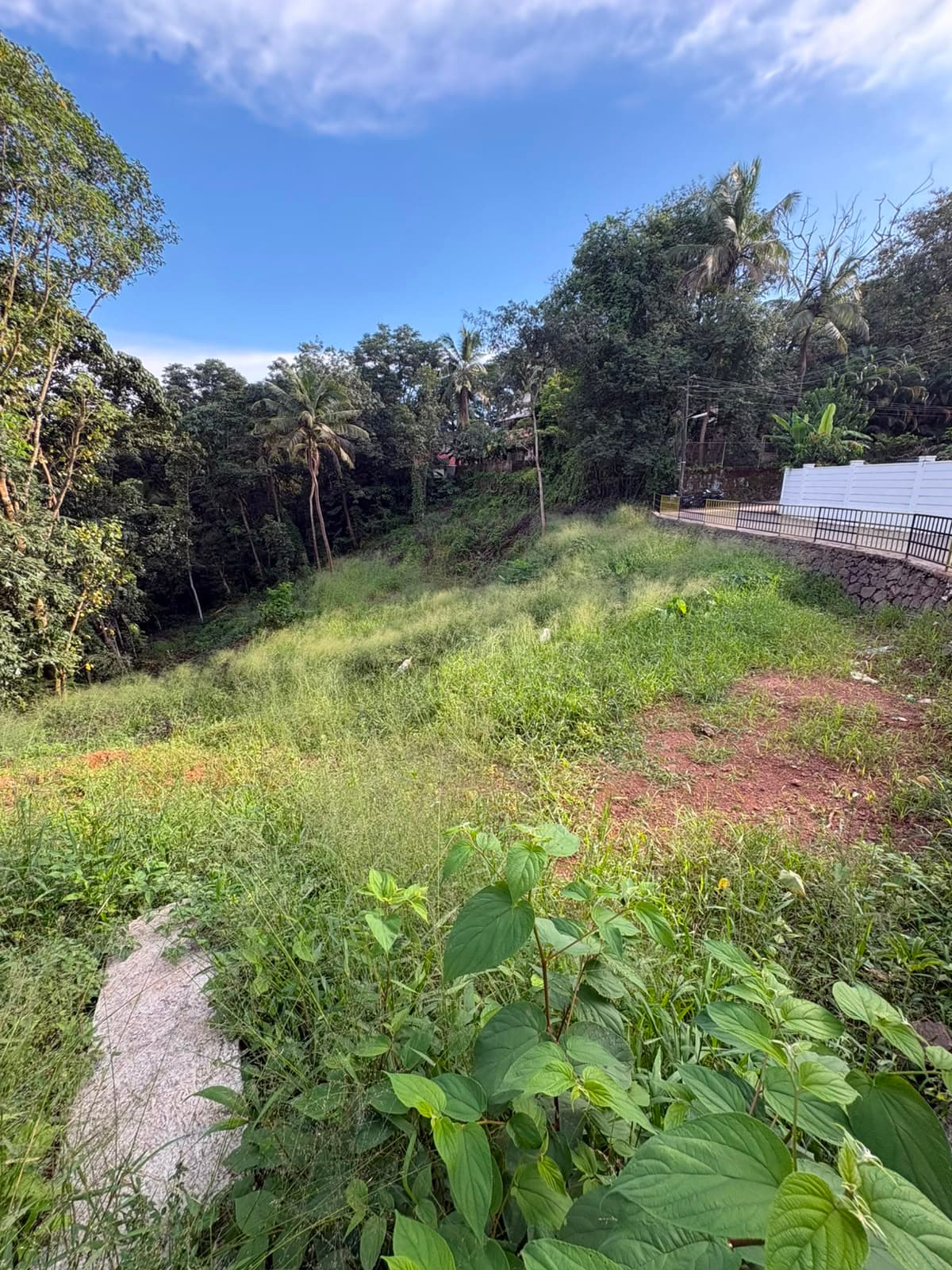 Karimugal 40 Cent Land — view 2