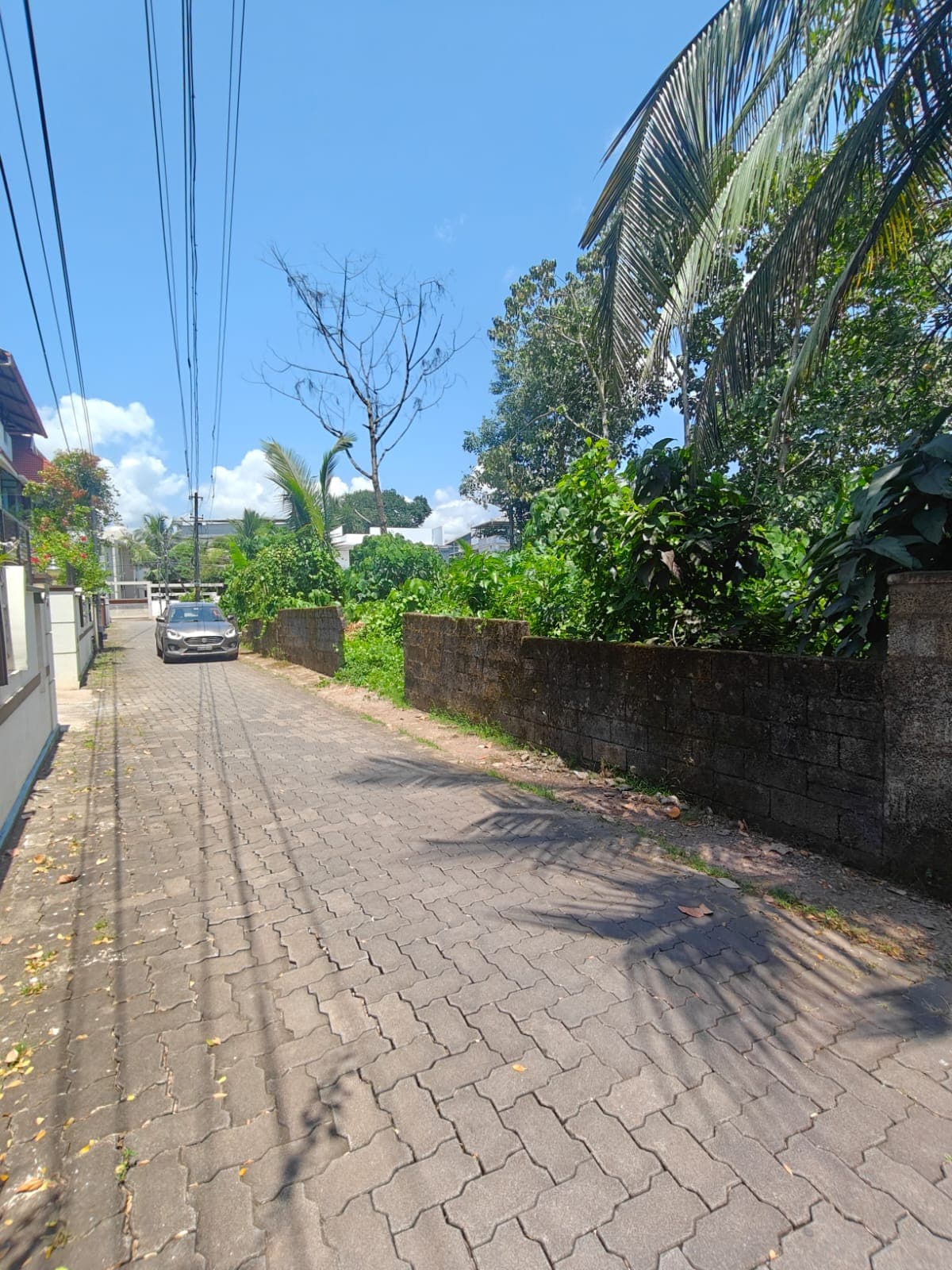 Padamughal Eastern Villa 10 Cent Land — view 2