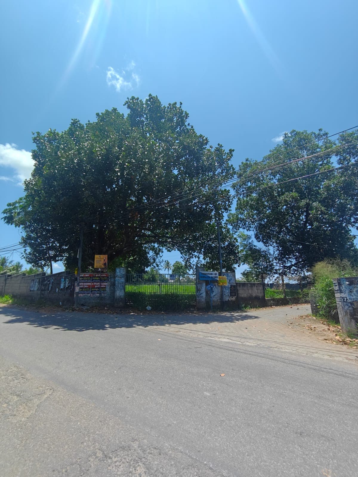 Seaport Airport Road- 40 Cent Three-Side Road Land — Residential Land in Thuthiyur, Ernakulam
