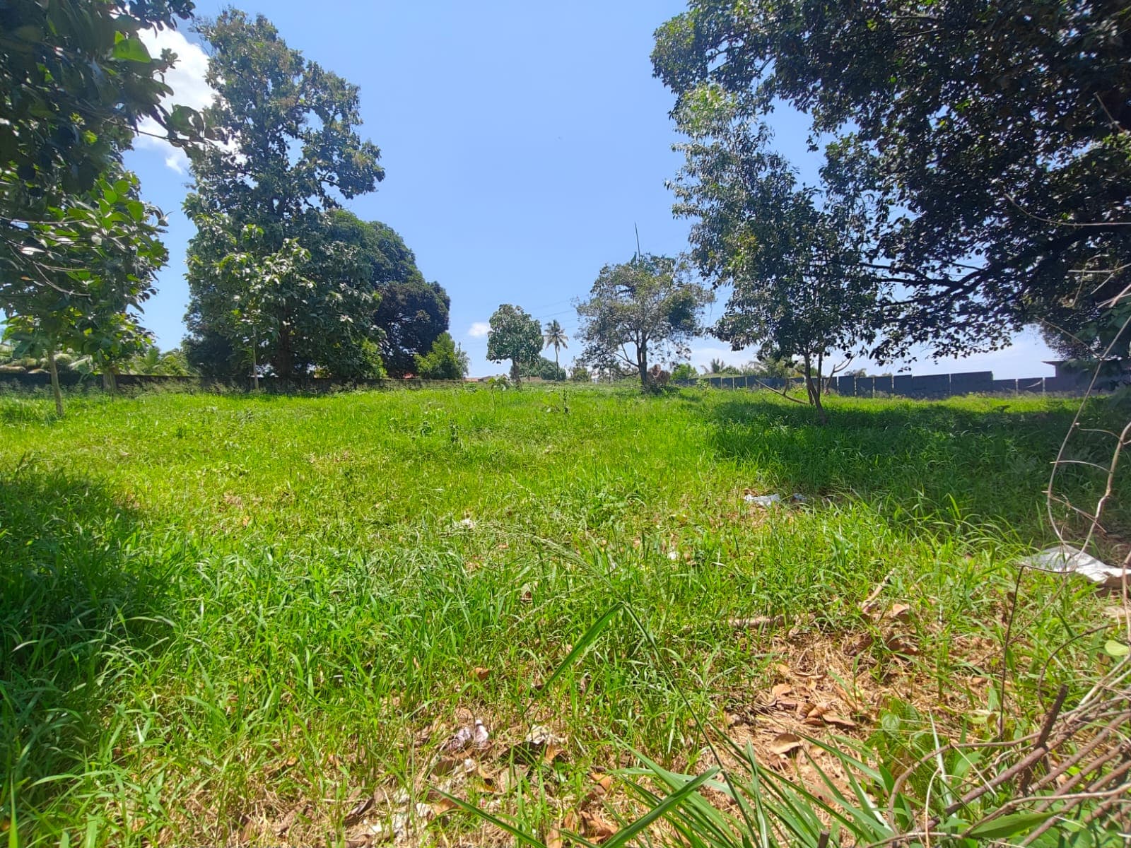 Seaport Airport Road- 40 Cent Three-Side Road Land — view 3