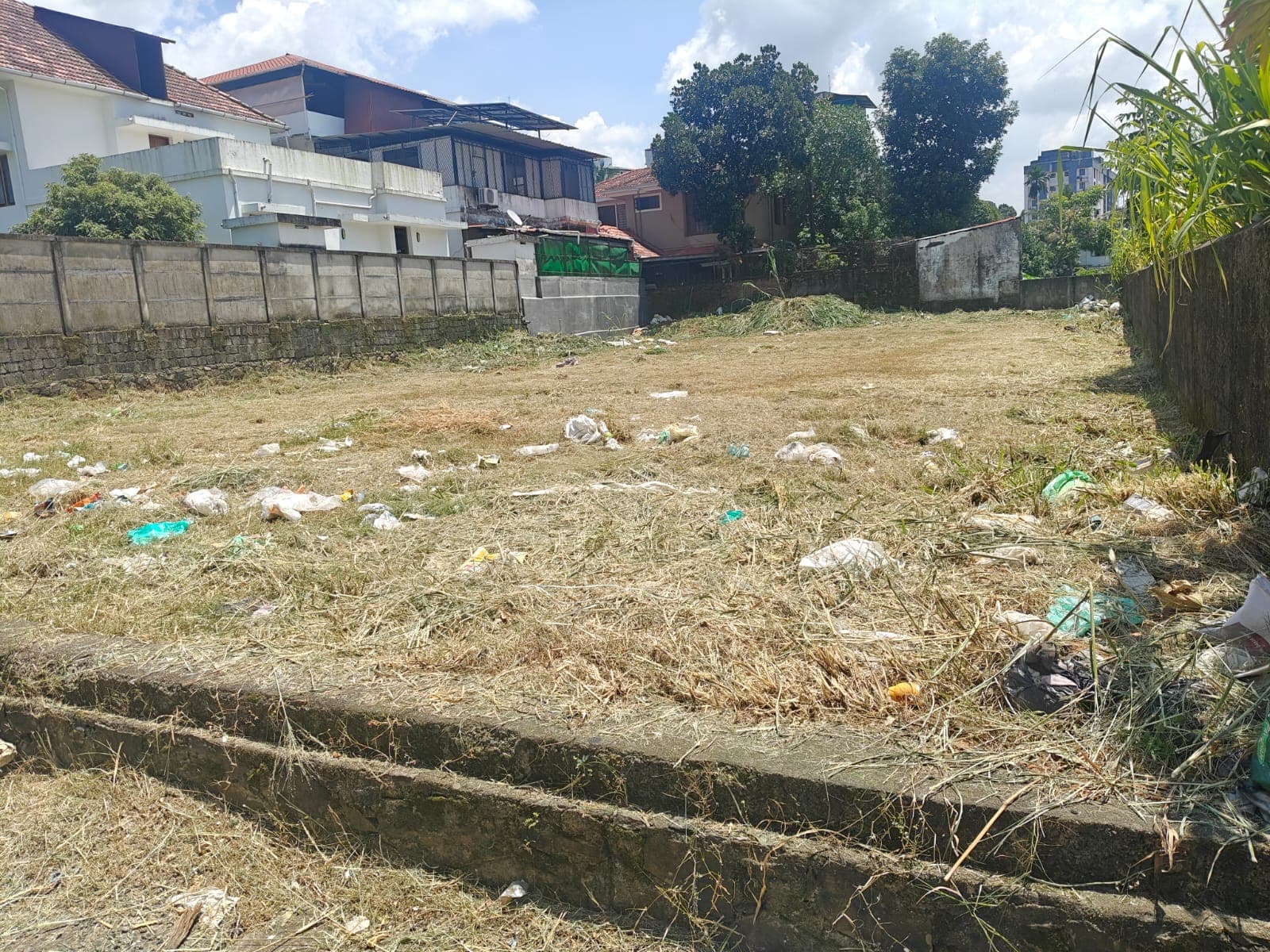 Vazhakala 15 Cent Residential Land — view 3