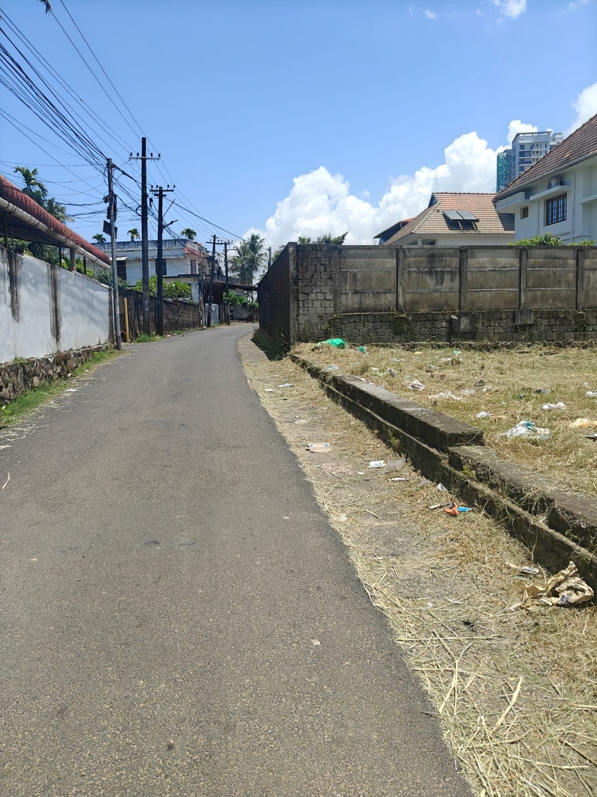 Vazhakala 15 Cent Residential Land — view 4